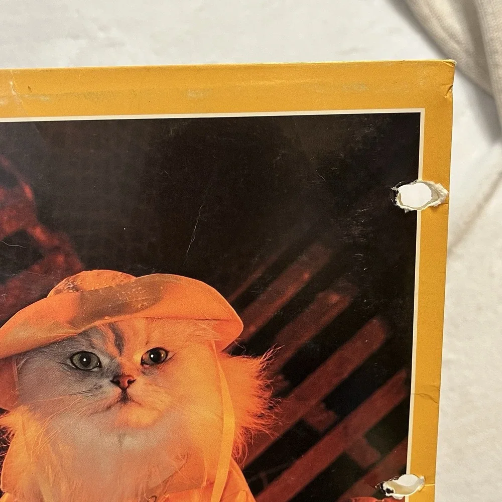 Vintage Cat Folders Stuart Hall 1993 Kittens Animal School Supplies 90s Retro
